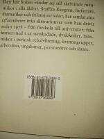 Pennan och det tomma tomma papperet : inspirationsbok f&ouml;r skrivare