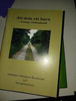 Att dela ett barn : tvistiga vårdnadsmål