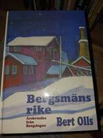 Bergsm&auml;ns rike : &aring;rskr&ouml;nika fr&aring;n Bergslagen