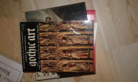 Gothic Art 