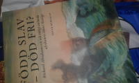 F&ouml;dd slav-d&ouml;d fri?: Richard Abrahamsson och tidigt anl&auml;nda afrikaners &ouml;de