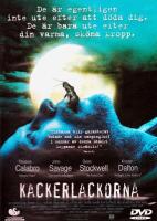 Kackerlackorna