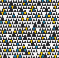 Look! It's El Perro Del Mar!