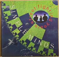 Street Fighting Years 