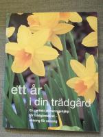 Ett &aring;r i din tr&auml;dg&aring;rd