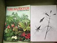 Krukv&auml;xter, det b&auml;sta som finns