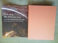 Och drog likt dr&ouml;mmar bort. Coleridge, Wordsworth och deras epok