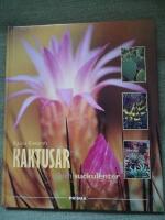 Kaktusar och suckulenter