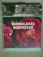 Gammaldags buskrosor