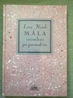 M&aring;la inomhus p&aring; gammalt vis