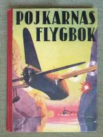Pojkarnas flygbok. Islandsflygarna