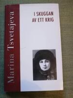 I skuggan av ett krig. M&ouml;ten och samtal 1917-1919