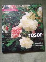 Rosor. Tr&auml;dg&aring;rd med f&auml;rg