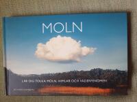 Moln