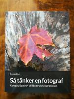 S&aring; t&auml;nker en fotograf. Komposition och bildbehandling i praktiken