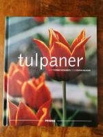 Tulpaner