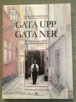 Gata upp och gata ner - m&auml;nniskor och milj&ouml;er i Stockholm f&ouml;rr och nu