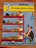 De obotliga br&ouml;derna Dalton