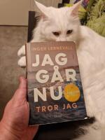 Jag g&aring;r nu. Tror jag