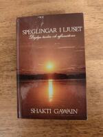 Speglingar i ljuset : dagliga tankar och affirmationer