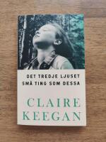 Det tredje ljuset ; Sm&aring; ting som dessa