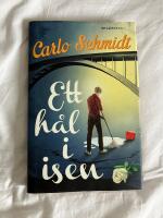 Ett h&aring;l i isen