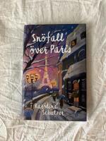 Sn&ouml;fall &ouml;ver Paris