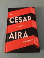 Fri flykt fram&aring;t : hur jag blev nunna, varamo, sp&ouml;ken