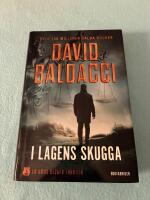 I lagens skugga
