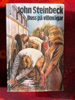 Buss p&aring; villov&auml;gar