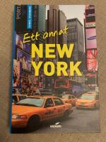 Ett annat New York