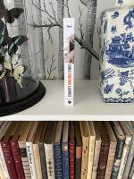 Chinese politics illustrated - the cultural, social, and historical context