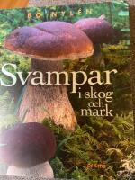 Svampar i skog och mark