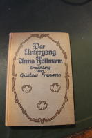 Der Untergang der Anna Hollmann