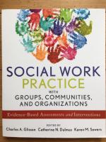 Social Work Practice with Groups, Communities, and Organizations