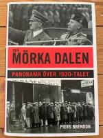 Den m&ouml;rka dalen : Panorama &ouml;ver 1930-talet