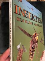 Insekter som bildar samh&auml;llen