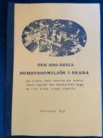 Den 1000-&aring;riga domkyrkomilj&ouml;n i Skara : en studie med tonvikt p&aring; biblioteket, skolan och domkyrkan byggda i tre olika slags nygotik