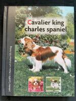 Cavalier king charles spaniel