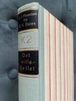 K2 &ndash; Det ville fjellet