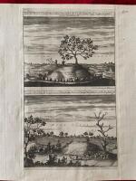 Tumulus Regius in campo Bravallino Smolandi&aelig; ubi Laudur frater Regis Angantyr pr&aelig;lio c&aelig;sus tumulatus est. Tumulus Humbli, ubi hujus nominis Hunnorum Rex in Campis Bravallinis occisus sepultusque est. [Kopparstick fr&aring;n Suecia Antiqua et Hodierna. Kungsh&ouml;gen p&aring; Br&aring;valla hed, d&auml;r den i striden fallne Ladur, Konung Angantyrs broder, blivit jordad. Humles h&ouml;g, d&auml;r den p&aring; Br&aring;valla hed fallne hunnerkonungen med detta namn blivit begraven.]