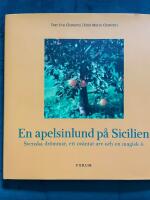 En apelsinlund p&aring; Sicilien