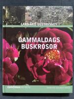 Gammaldags buskrosor