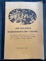 Den 1000-&aring;riga domkyrkomilj&ouml;n i Skara : en studie med tonvikt p&aring; biblioteket, skolan och domkyrkan byggda i tre olika slags nygotik