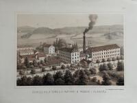 Charles Hills Bomulls-W&auml;fveri & F&auml;rgeri i Alings&aring;s. [F&auml;rglitograferad plansch (29 x 23 cm) ur verket Sveriges industriella etablissementer av Gustaf Pabst ca. 1870].