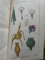 La botanique enseign&eacute;e en vingt-deux le&ccedil;ons. Ouvrage dans lequel sont expos&eacute;s les &eacute;l&eacute;mens et les principes relatifs &agrave; cette sciences, et orn&eacute; de onze planches colori&eacute;s.