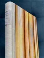 Gr&auml;nsf&auml;stet i &ouml;ster - Viborg fr&aring;n korst&aring;gstiden till v&aring;ra dagar