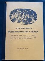 Den 1000-&aring;riga domkyrkomilj&ouml;n i Skara : en studie med tonvikt p&aring; biblioteket, skolan och domkyrkan byggda i tre olika slags nygotik