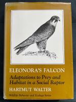 Eleonora's falcon - adaptations to prey and habitat in a social raptor