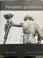 Perspektiv p&aring; G&ouml;teborg
